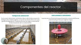 Reactor de lodos activados biológico secundario tratamiento de aguas residuales [upl. by Lerred]