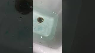 Pulling plug in big sink satisfying cool water [upl. by Stockmon896]