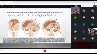 Anatomia Peritônio e Retroperitônio [upl. by Isola]