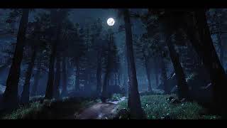 Forest at Night with owl sound effect No copyright [upl. by Joanne]