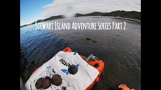 Ep35 Stewart Island Adventure series part 2 Diving for Paua amp Kina Oystering [upl. by Nnalatsyrc]