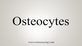 How To Say Osteocytes [upl. by Ronal266]