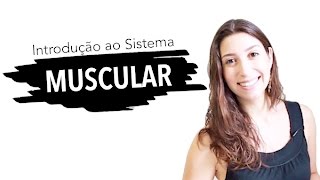 Sistema Muscular 16 Introdução  Anatomia e etc [upl. by Chuah]