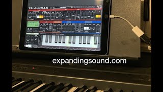 iOS Synth app  TALUNOLX  amazing analog synthesizer Juno 60 emulator sounds and modulation [upl. by Alviani]