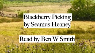 Blackberry Picking by Seamus Heaney read by Ben W Smith [upl. by Nellad550]