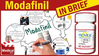 Modafinil  Provigil 100mg  What is Modafinil Used For Dosage Side Effects amp Precautions [upl. by Ahsier]