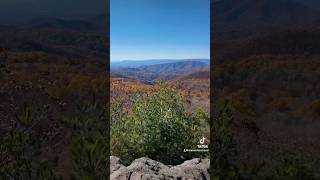 🍂Fall Has Arrived in Shenandoah National Park fyp shorts fall leaves mountains beautiful [upl. by Alleris]