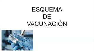 ESQUEMA DE VACUNACION PT 1 [upl. by Aon]