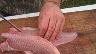 Skinning and Fileting a Catfish [upl. by Peterus]