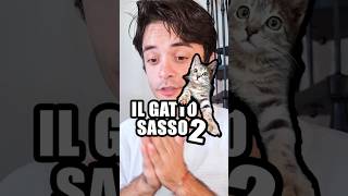 Il gatto sasso 2 🐈 [upl. by Dunaville]