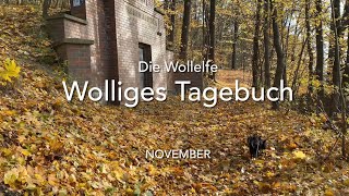 Wolliges Tagebuch  Die Wollelfe  November [upl. by Serdna]