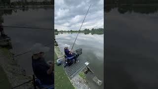 Fishing shorts shortvideo viral viralvideo fishing pesca fish fishingvideo video carp new [upl. by Balfour]