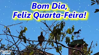 Mensagem de Bom Dia Feliz Quarta Deus Te Abençoe nesta QuartaFeira [upl. by Francine970]