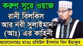 Bangla Waz Maolana Robiul Islam রানী বিলকিস আর নবী সুলাইমান [upl. by Elcin]