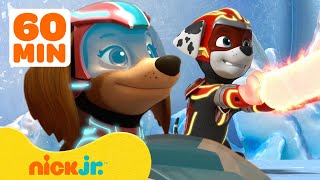 PAW Patrol Mighty Pups Ultimate Animal Rescues w Chase amp Liberty  1 Hour Compilation  Nick Jr [upl. by Craig]