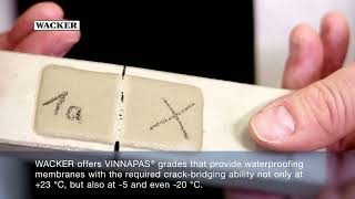 VINNAPAS® For Waterproofing Membranes  with subtitles [upl. by Darom822]