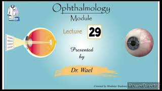 29 Ocular Motility 4 Concomitant Squint  Dr Wael Ophthalmology [upl. by Hgielram]