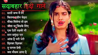 Hindi Gana🌹Sadabahar Song 💖 हिंदी गाने 💔 Purane Gane Mp3 💕 Filmi Gaane अल्का याग्निक कुमार सानू गीत [upl. by Adda]