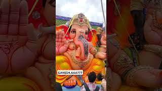 2024dhoolpet 2024 dhoolpetofficial trending shortvideo ganesh ganeshchaturthistatus bappa [upl. by Wickman]