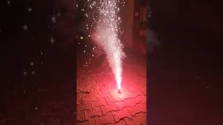 Diwali  Apurva  Cute Baby  Shorts  viralvideo  Trending  Baljeet Baani [upl. by Jecon]