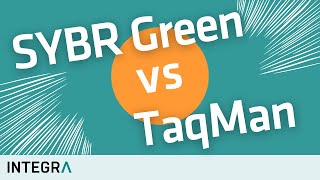 SYBR Green vs TaqMan – How qPCR works [upl. by Anirtek]