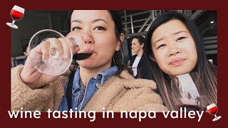 WINE TASTING IN A CASTLE  Napa Valley Tour [upl. by Rabbi]