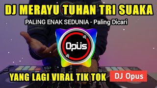 DJ MERAYU TUHAN TRI SUAKA VIRAL TIK TOK 2023  DJ AKU COBA MERAYU TUHANKU REMIX [upl. by Mian606]