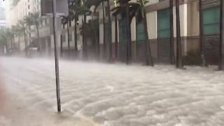 Hurricane Irma floods the streets of Downtown Miami [upl. by Ayanal]