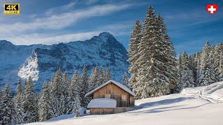 Winter in Grindelwald  dive into winter wonderland Switzerland 4K [upl. by Landa788]