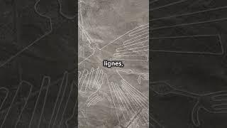 Les lignes de Nazca mystery history ancient story didyouknow amazingfacts [upl. by Lemuel]