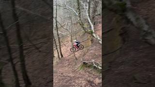 Surrey Dh mtb 🤟☄️ dh mtb specialized [upl. by Chew]