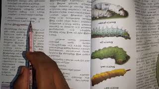 11th BioZoology unit 12 book back answer  tamil medium [upl. by Helsa]