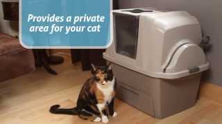 MOXY amp Smart Litter Box by Catit [upl. by Imotas]