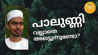 പാലുണ്ണിക്കുള്ള പരിഹാരമിതാPalunni malayalamHow to Remove palunniNature vision Malayalam [upl. by Avon179]