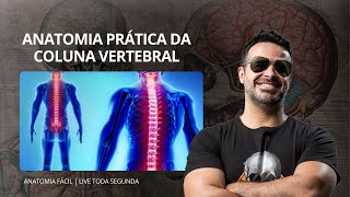 AO VIVO ANATOMIA PRÁTICA DA COLUNA VERTEBRAL  anatomiafacil [upl. by Grogan]