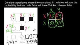 Bayesian analysis of pedigrees 3 [upl. by Toogood625]