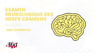 Sémiologie  LEXAMEN DES NERFS CRANIENS partie 1 par INES STAM [upl. by Trey29]