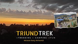 Triund Trek A Journey to the Himalayan Heaven  Single Ticket [upl. by Ellersick456]