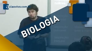 BIOLOGIA A  AULA 14  Sistema Reprodutor [upl. by Aikemehs410]