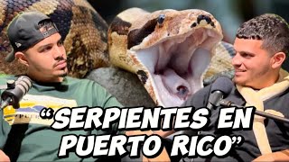 REVELA TODO SOBRE LAS SERPIENTES QUE HA CAPTURADO EN PUERTO RICO  GONGO FISHING PR [upl. by Careaga631]