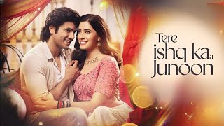 B Tere Ishq Ka Junoon  Hindi Full Audio Song 2024  Romantic Love Song 2024 [upl. by Takakura]