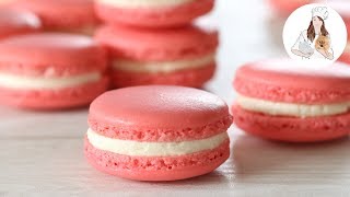 How to make Macarons  Perfect Macaron Recipe [upl. by Ordnaxela63]