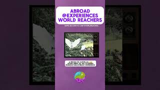 GET TO KNOW WORLD REACHERS internationalstudy abroad worldwidestudy [upl. by Naujtna]