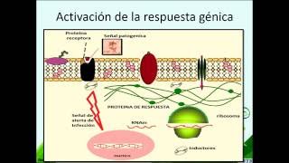 INDUCTOR DE RESISTENCIA VEGETAL FOSFITO DE POTASIO ELICITOR [upl. by Adimra]