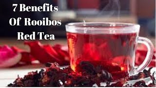 7 Benefits Of Rooibos Red Tea [upl. by Droffilc208]