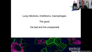 quotLung infections interferons macrophages The good the bad and the unexpectedquot by Dr Andreas Wack [upl. by Krid239]