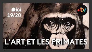 Artem Manon un regard sur les primates [upl. by Lednew]