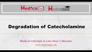 Degradation of Catecholamine [upl. by Notyap]