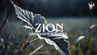 Zion  Soaking Worship Instrumental  Prayer and Devotional [upl. by Saidnac]