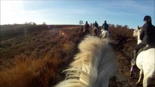 Cannock Chase Trekking Centre 18 November 2012 GoPro HD 1080p [upl. by Alael837]